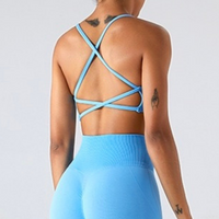 Stylish Straps Back Design Crop Top - Blue