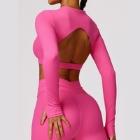 Elegant Long Sleeve Premium Crop Top - Pink