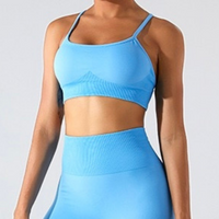 Stylish Straps Back Design Crop Top - Blue