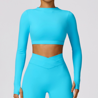 Elegant Long Sleeve Premium Crop Top - Blue