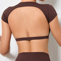 JESS Backless Stylish Crop Top - Brown