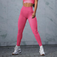 Pink Legging - Seamless